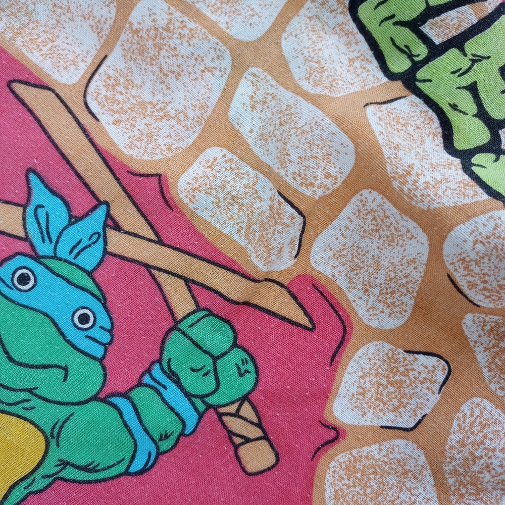 Vintage Custom TMNT 1988  / Batman 1992 / Reworked Bennygonia Shorts - Picture 8 of 8